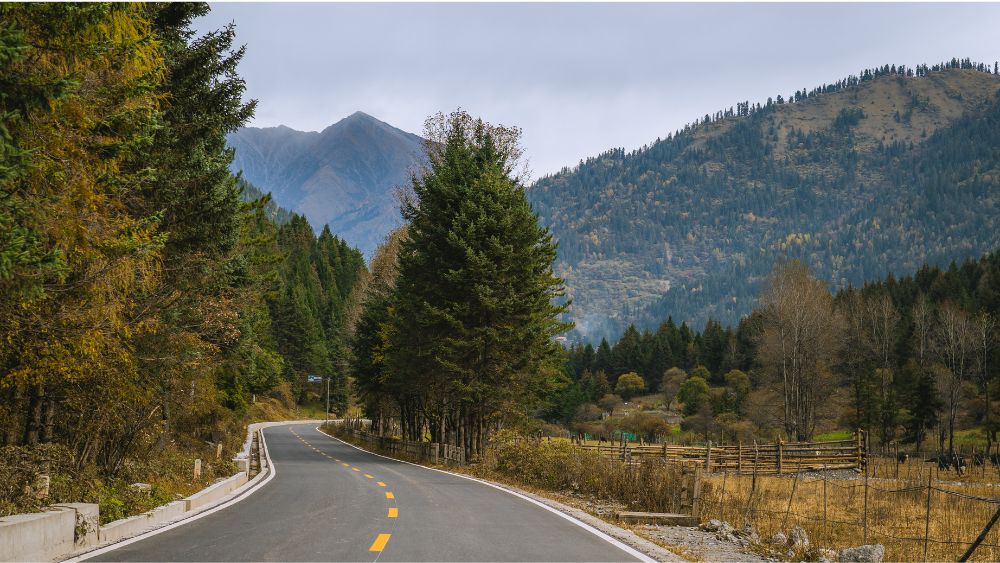 Scenic Mountain Highway In Bhutan With Winding Roads - Miles with Bhutan